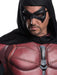 Robin Costume - Buy Online Only - The Costume Company | Australian & Family Owned