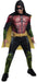 Robin Costume - Buy Online Only - The Costume Company | Australian & Family Owned