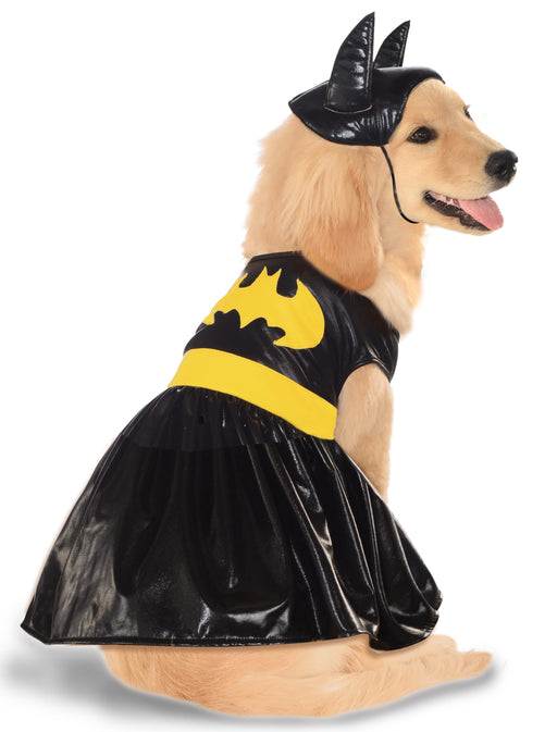 Batgirl Pet Costume | Buy Online - The Costume Company | Australian & Family Owned 