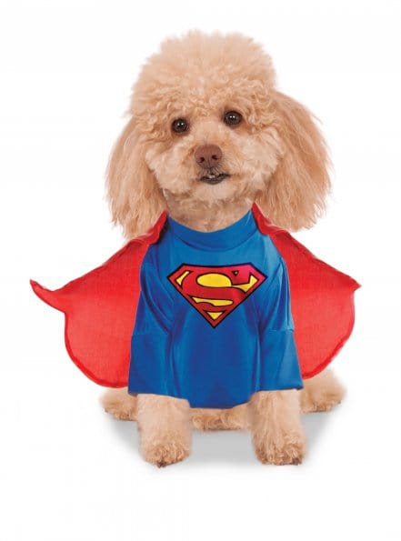 Superman Deluxe Pet Costume | Buy Online - The Costume Company | Australian & Family Owned 