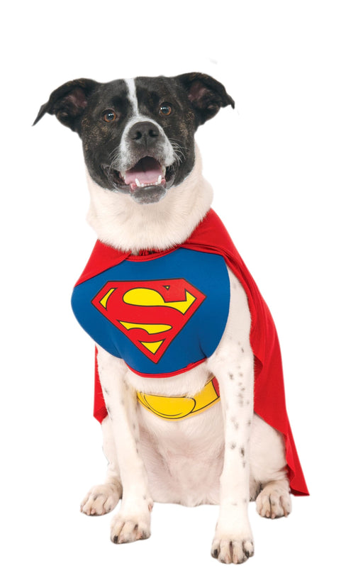 Superman Classic Pet Costume | Buy Online - The Costume Company | Australian & Family Owned 