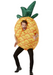 Pineapple Inflatable Costume  | Buy Online - The Costume Company | Australian & Family Owned 