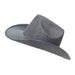 Space Cowboy Black/Silver Shimmer Hat | Buy Online - The Costume Company | Australian & Family Owned  