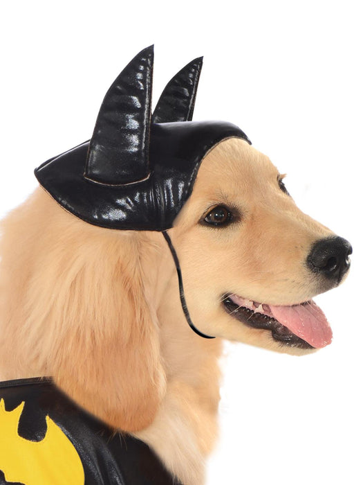 Batgirl Pet Costume - Buy Online Only - The Costume Company