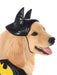 Batgirl Pet Costume - Buy Online Only - The Costume Company