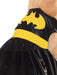 Batgirl Pet Costume - Buy Online Only - The Costume Company