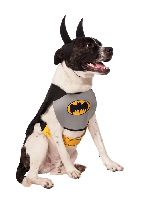 Batman Classic Pet Costume | Buy Online - The Costume Company | Australian & Family Owned 