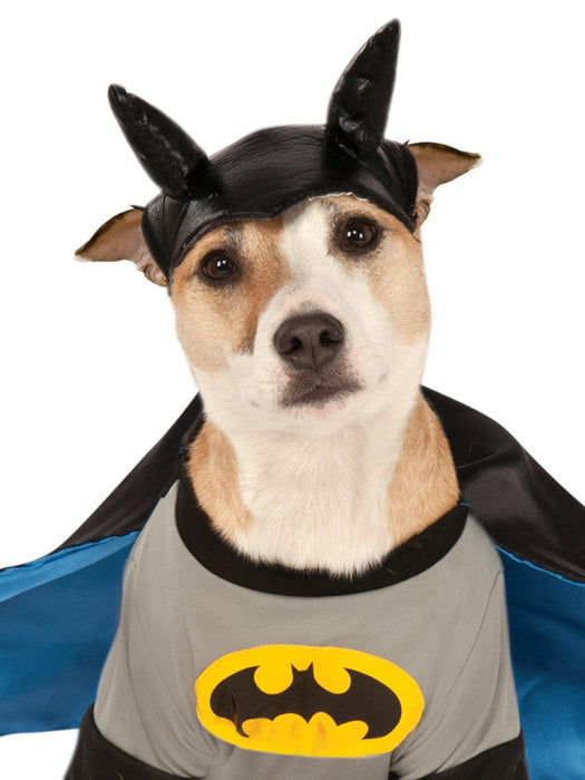 Batman Deluxe Pet Costume - Buy Online Only - The Costume Company