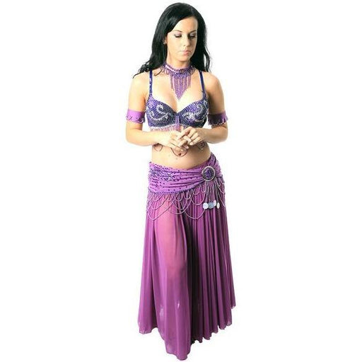 Modern Fringe Purple Belly Dance Costume from Egypt