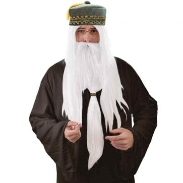 Wizard Wig & Beard | Buy Online - The Costume Company | Australian & Family Owned 