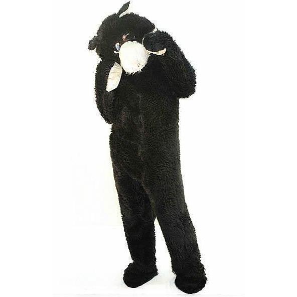 Cat Costume - Hire - The Costume Company | Fancy Dress Costumes Hire and Purchase Brisbane and Australia