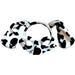 Dalmatian - Headband and Mask Set - The Costume Company | Fancy Dress Costumes Hire and Purchase Brisbane and Australia