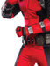 Deadpool Collectors Edition - Buy Online Only - The Costume Company | Australian & Family Owned