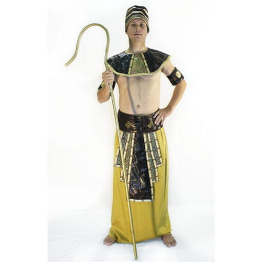Egyptian King Costume - Hire - The Costume Company | Fancy Dress Costumes Hire and Purchase Brisbane and Australia