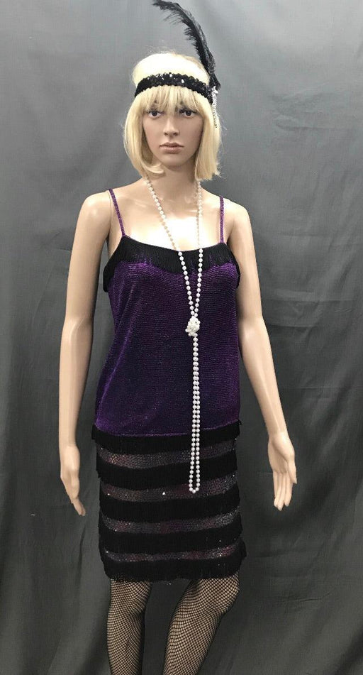 Flapper Dress Roaring 20's Purple Shimmer with Black Trim - Hire - The Costume Company