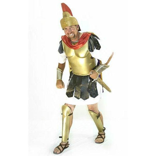 Gladiator Costume - Hire - The Costume Company | Fancy Dress Costumes Hire and Purchase Brisbane and Australia