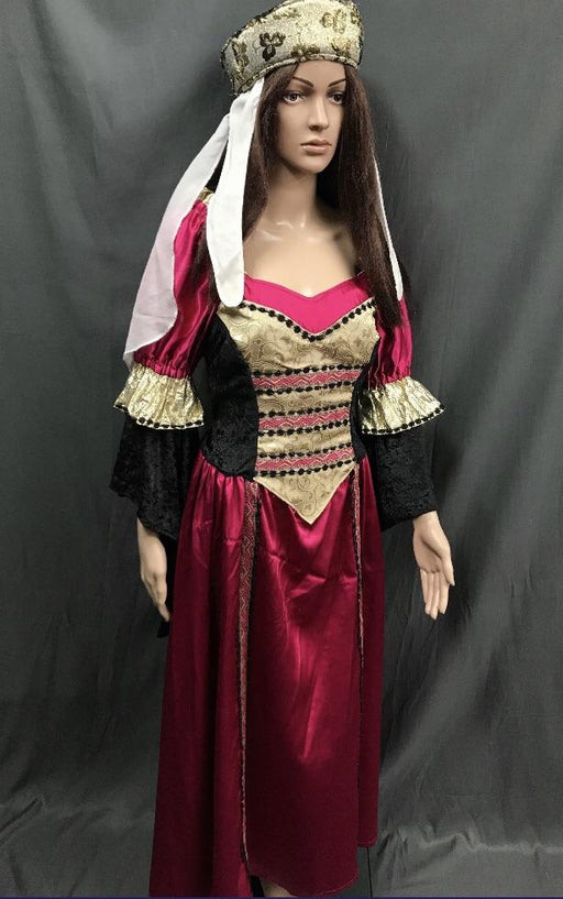 Medieval Hot Pink and Gold Dress - Hire - The Costume Company | Fancy Dress Costumes Hire and Purchase Brisbane and Australia