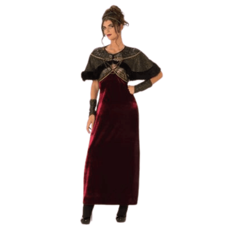 Medieval Lady Costume