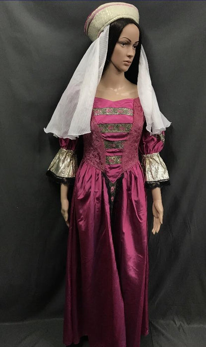Medieval Pink and Gold Noble Lady Dress - Hire - The Costume Company | Fancy Dress Costumes Hire and Purchase Brisbane and Australia