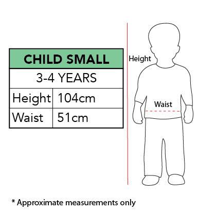 Raya Deluxe Small Child Costume 