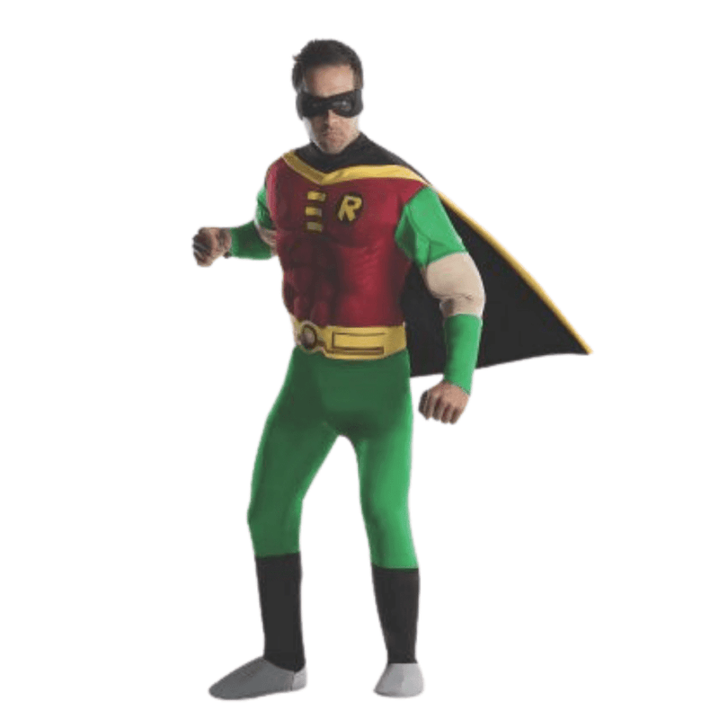Robin Deluxe Costume 