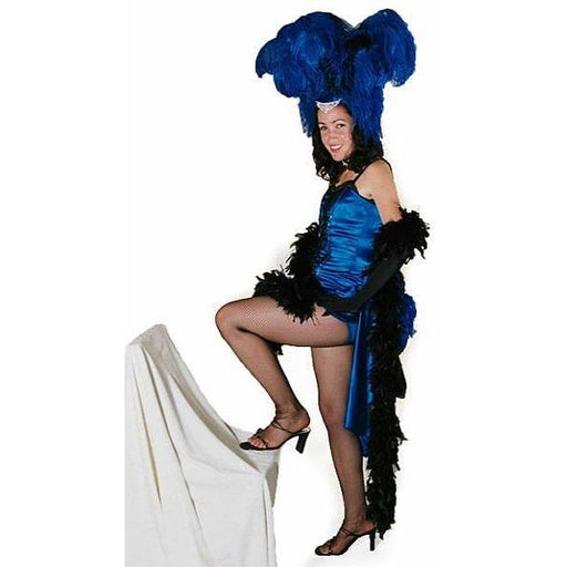 Showgirl Costume - Hire - The Costume Company | Fancy Dress Costumes Hire and Purchase Brisbane and Australia