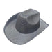 Space Cowboy Black/Silver Shimmer Hat | Buy Online - The Costume Company | Australian & Family Owned  