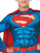 Superman Deluxe Digital Print Child Costume - Buy Online Only - The Costume Company