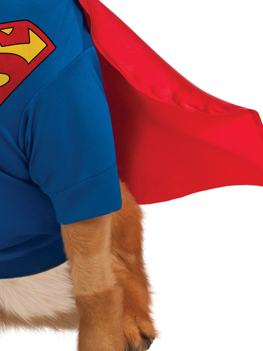 Superman Deluxe Pet Costume - Buy Online Only - The Costume Company