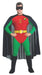 Robin Costume - Buy Online Only - The Costume Company | Australian & Family Owned