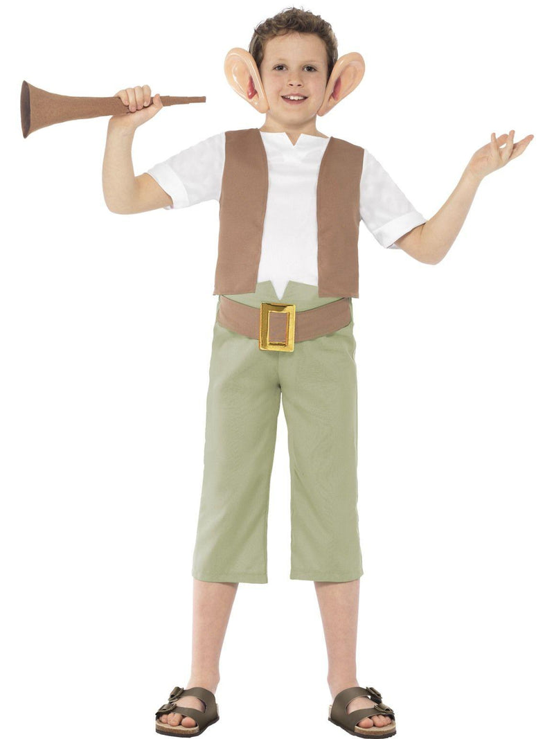 The Big Friendly Giant Dahl - Buy Online Only - The Costume Company