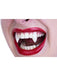 Vampire Fangs Deluxe Scarecrow Custom Fit Halloween Teeth - The Costume Company