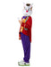 White Rabbit Alice In Wonderland Child Costume - Buy Online Only - The Costume Company