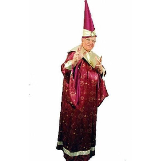 Wizard Costume - Hire - The Costume Company | Fancy Dress Costumes Hire and Purchase Brisbane and Australia