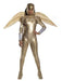 Wonder Woman 1984 Golden Armour Costume - The Costume Company